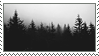 stamp showing a dark forest